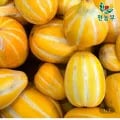성주참외 가정용 9kg (18,620원/무료)