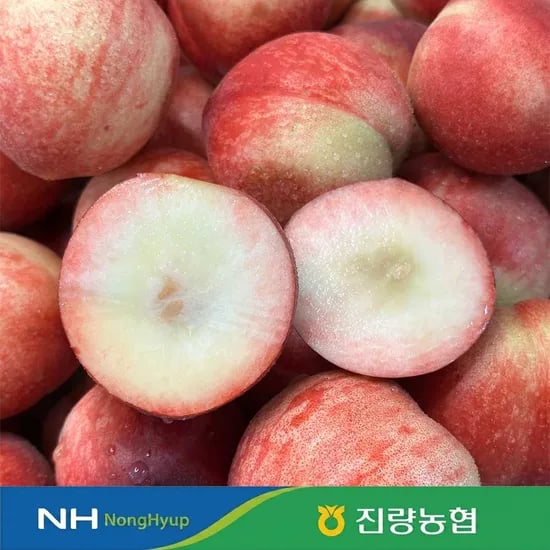 농협 신비복숭아 2kg 중소과 (토페4,963원/무료)1