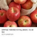 빨간사과 외 다양 9kg 혼합과 등급 주스용 6,270원/개