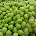 청매실 5kg (외 다양) 수량 1개