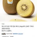 제스프리 골드키위 특대 17입 2.4kg 외 다양