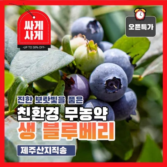 블루베리 kg 소과 23,500원 외 다양 1kg