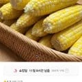 국내산 고당도 초당옥수수 외 다양 20개
