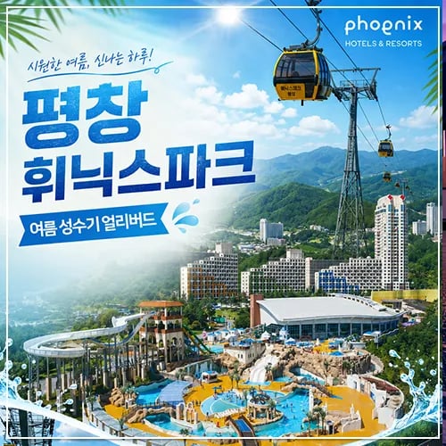 평창 휘닉스파크 워터파크 더블액티비티 스탠다드 2인 패키지 외 다양 (12인용)
