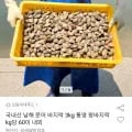 국내산 남해 바지락 외 다양 3kg 통영 왕바지락 60미 내외