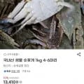 국내산 생물 숫꽃게 1kg 외 다양