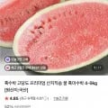 국산 흑미수박 5kg 외 다양 2개