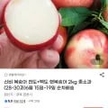 신비복숭아 외 다양 2kg 중소과 (28-30과) 총 20kg