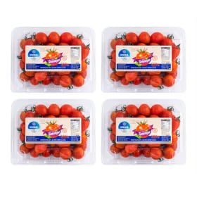 스테비아 토마토 500g 외 4팩, 총 2kg