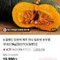 뉴질랜드 단호박 2kg (외 다양)