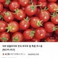 방울토마토 외 다양 1kg 수량 4-5개