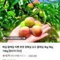 황매실 외 다양 5kg 왕특 36,800원