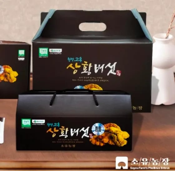 국내산 무농약 GAP 인증 상황버섯 진액 외 다양 25포
