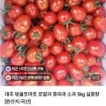 대추 방울토마토 5kg (1,800원/무료)2