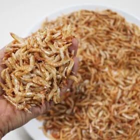 장인육수 비책 국산 보리새우 300g (8,700원/무배)
