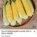 국내산 초당옥수수 중품 5개 (8,250원/무료)