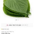 국내산 깻잎 1kg (8,910원/무료)