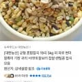 균형혼합 19곡 5kg 10800 / 무배