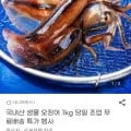 국내산 생물 오징어 외 다양 kg 10미내외 16900원