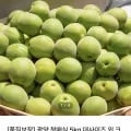 광양 청매실 대과 외 다양 5kg