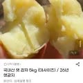 국내산 햇 감자 5kg 대사이즈 외 다양