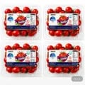 스테비아 대추 방울 토망고 500g 외 4팩