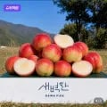 신비복숭아 천도복숭아 외 다양 1kg 중소과 10개