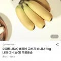 베트남 고산지 바나나 외 4kg 내외 총 11,820개