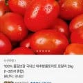 국내산 대추방울토마토 로얄과 외 다양 2kg