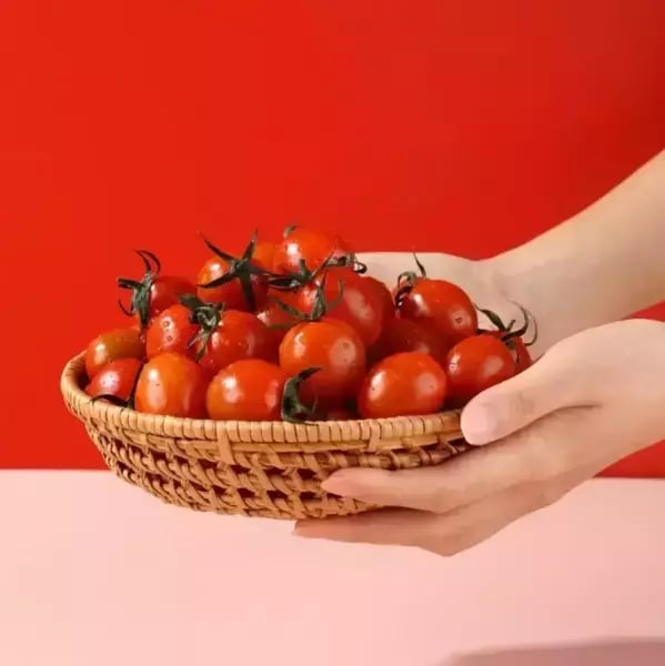 대추 방울토마토 2개 외 다양, 1kg 구성품