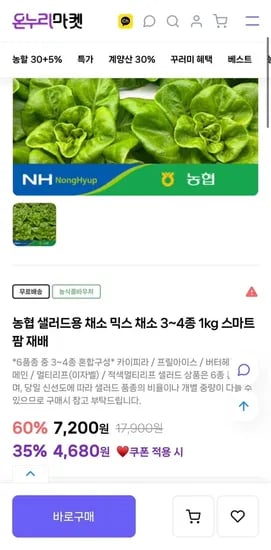 농협 유럽식 샐러드 채소 1kg 외 다양