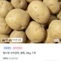 햇감자 왕특 외 다양 5kg