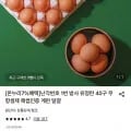 난각번호 1번 무항생제 유정란 40구