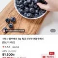 국내산 블루베리 특과 1kg 외 다양