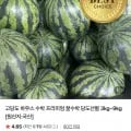 고당도 하우스 수박 5kg 이상 외 다양