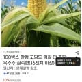 껍질 깐 초당옥수수 16cm 이상 외 다양, 10개, 총 10kg