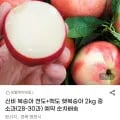 신비 복숭아 천도+백도 햇복숭아 2kg 중소과 외 다양 28-30과