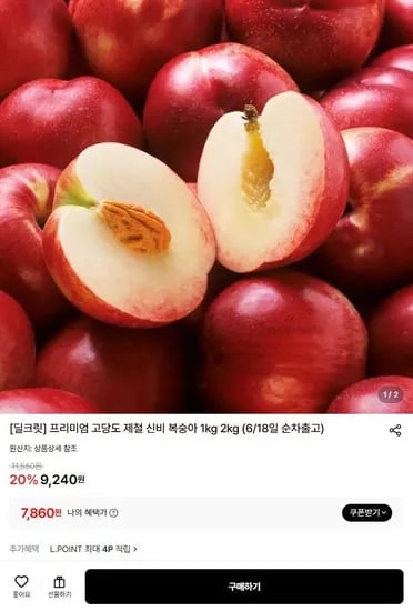 프리미엄 고당도 신비 복숭아 외 다양 1kg 총 6개 순차출고