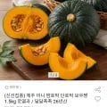 제주 미니 밤호박 단호박 보우짱 로열 외 다양 1.5kg 8,980원
