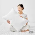 솜빵빵 폭신 지퍼형 베개솜 외 다양 2개 8,420원/개