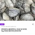 국내산 왕 바지락 외 다양 1kg