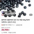 국산 생 블루베리 특 5팩 00g 외 다양