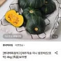 제주 밤호박(보우짱) 특품 외 다양 4kg