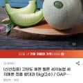 세지메론 정품 왕대과 5kg 외 다양 2수