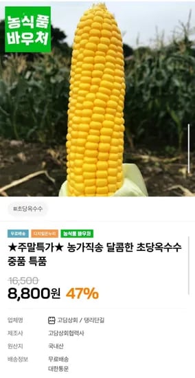 달콤한 초당옥수수 외 다양 5개/10개