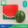 고당도 꿀수박 외 다양 8kg