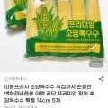 프리미엄 초당옥수수 특품 14cm 외 다양 5개