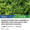 유러피안 샐러드 채소 1kg