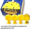 시즈피 초파리 트랩 4개입