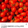 방울토마토 소과 5kg 특등급 1개